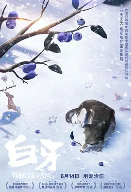 清晰在线播放观看